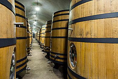 《微软飞行模拟》XSX＆S现已发售 玩家不需要下载整个游戏